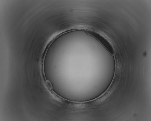 X0000097810989200803140755