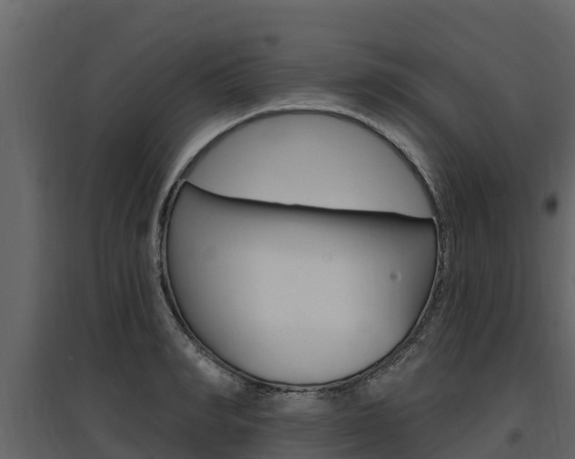 X0000097810990200803140755
