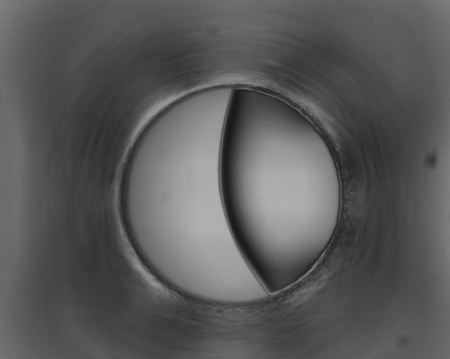 X0000097810991200803140755