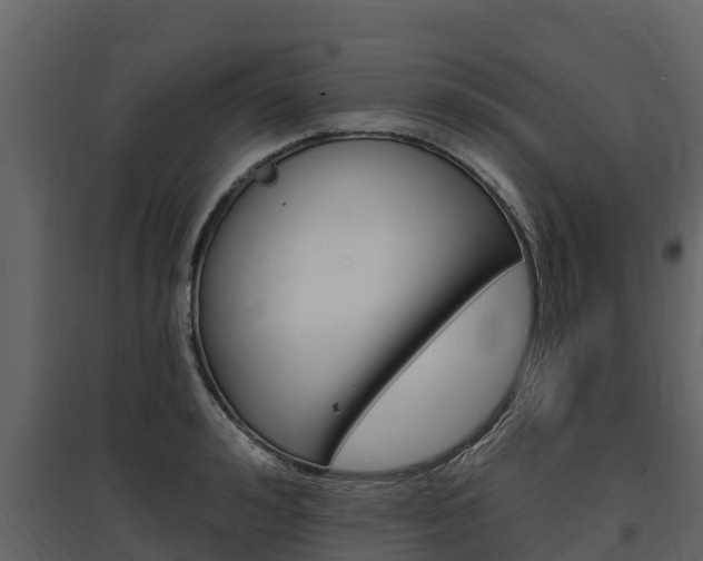 X0000097810992200803140755