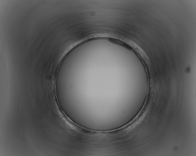 X0000097810993200803140755