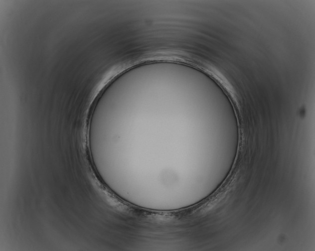 X0000097810994200803140755