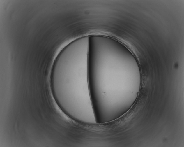 X0000097810995200803140755