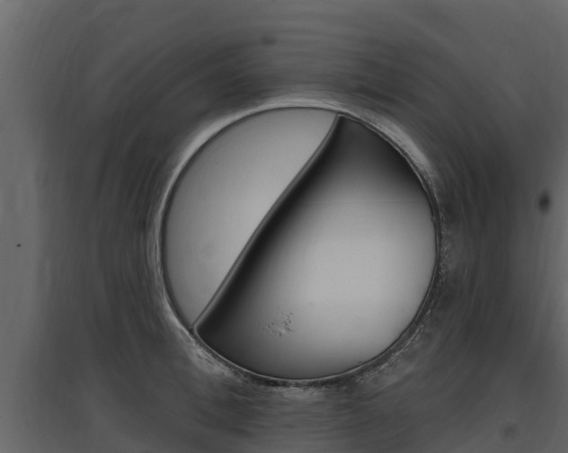X0000097810996200803140755