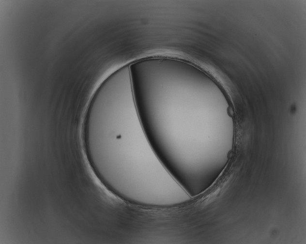 X0000097810999200803140755