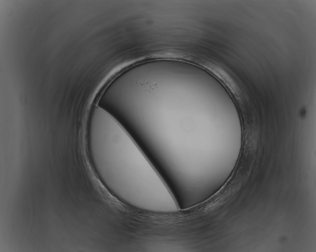 X0000097811000200803140755