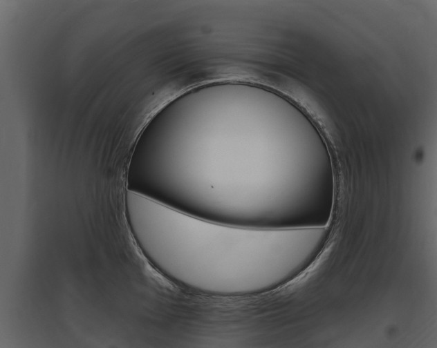 X0000097811001200803140755