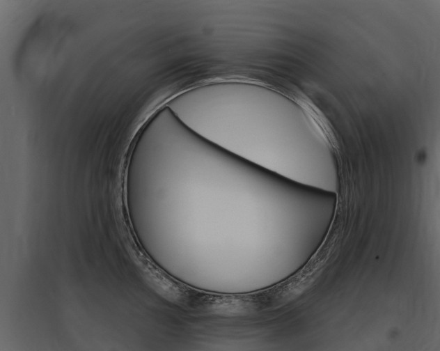 X0000097811002200803140755