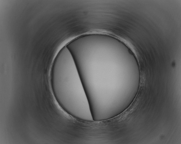 X0000097811003200803140754