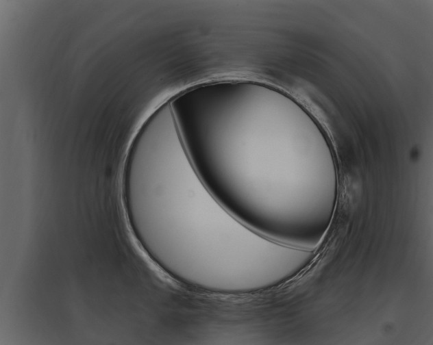 X0000097811005200803140754