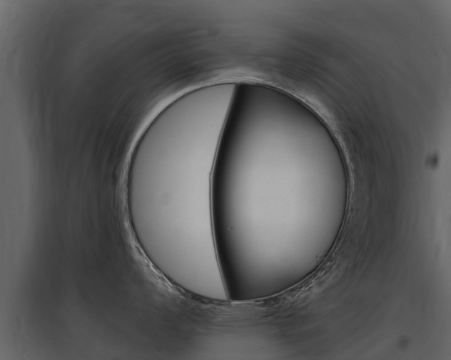 X0000097811008200803140754