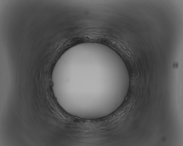 X0000097811009200803140754