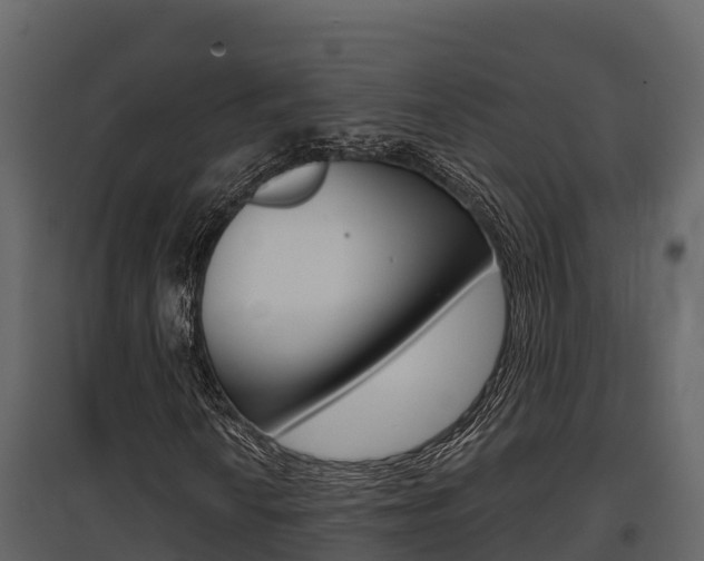 X0000097811010200803140754