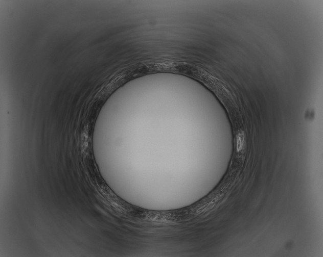 X0000097811011200803140754