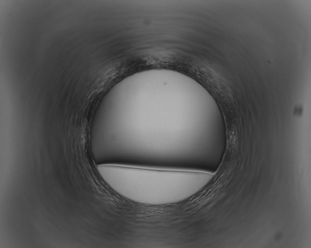 X0000097811012200803140754
