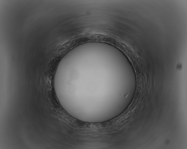X0000097811013200803140754