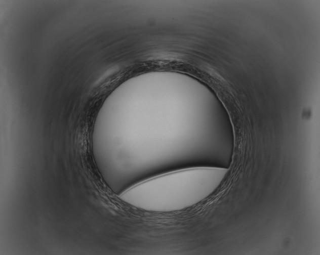 X0000097811014200803140754