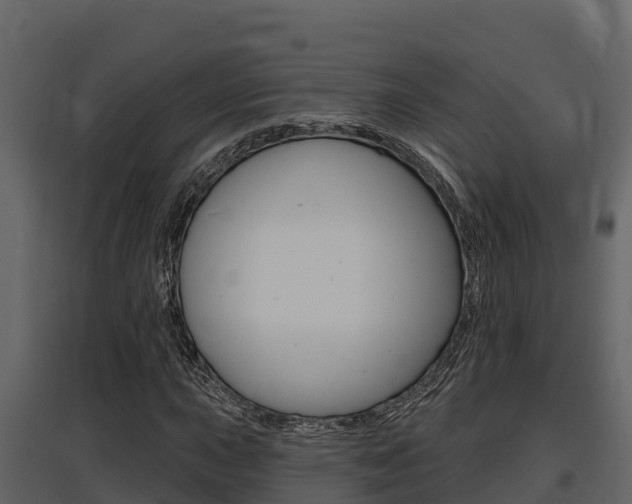 X0000097811015200803140754