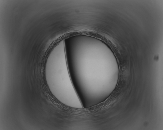 X0000097811016200803140754