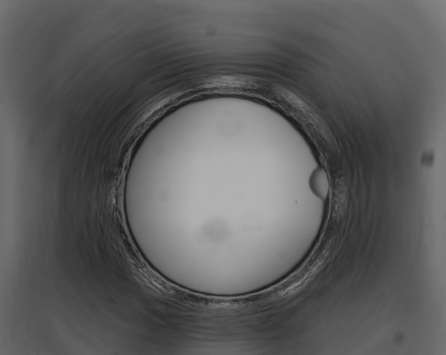 X0000097811017200803140754