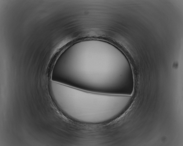 X0000097811018200803140754
