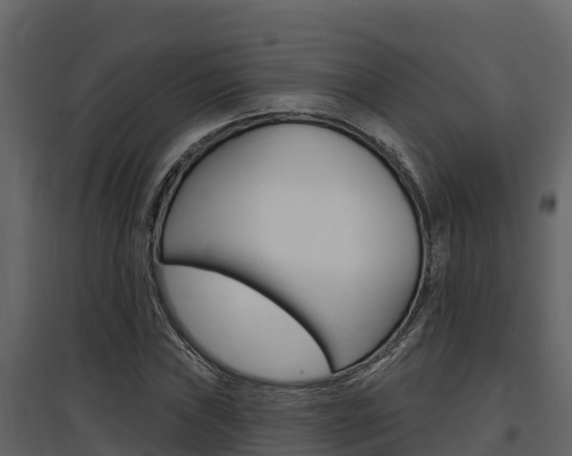 X0000097811019200803140754