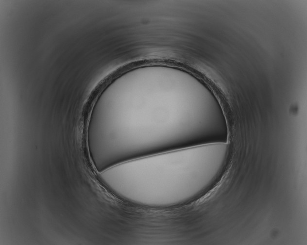 X0000097811021200803140754