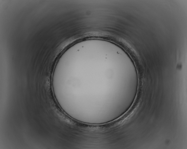 X0000097811025200803140754