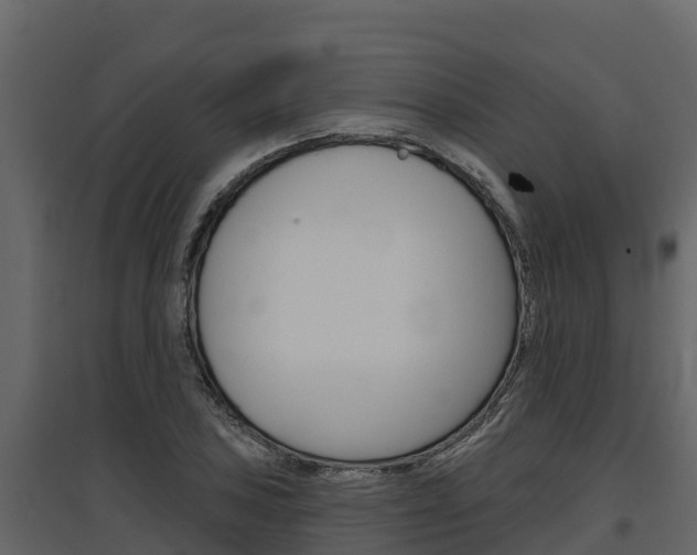 X0000097811027200803140754