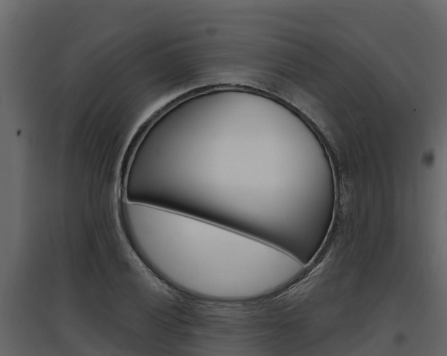 X0000097811028200803140754