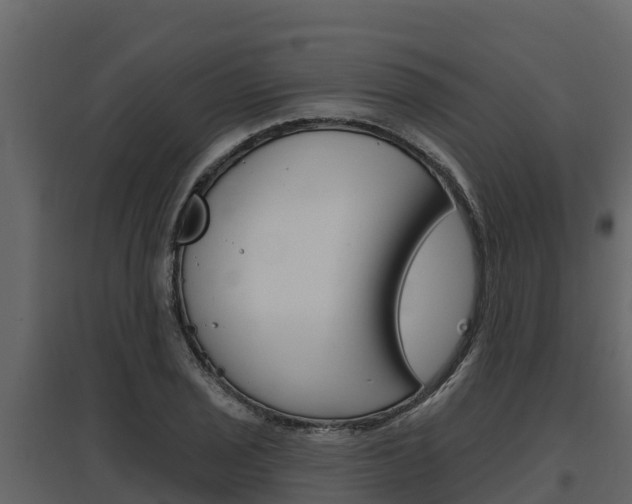 X0000097811029200803140754