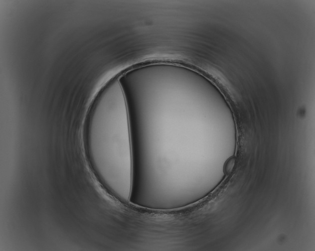 X0000097811030200803140754