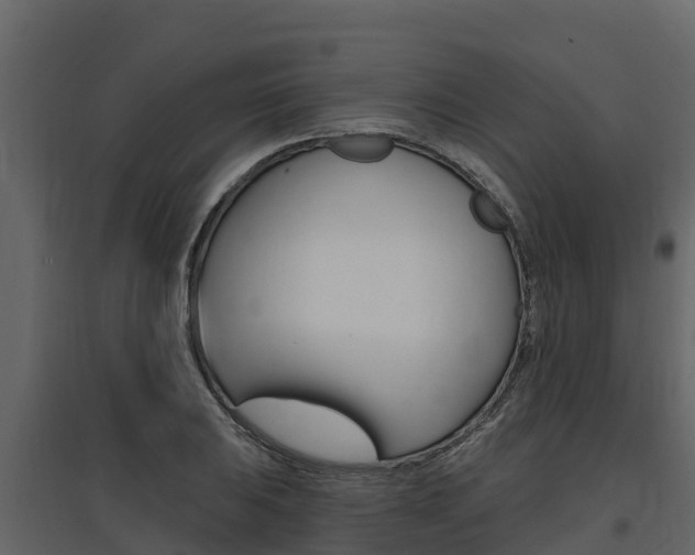 X0000097811031200803140754