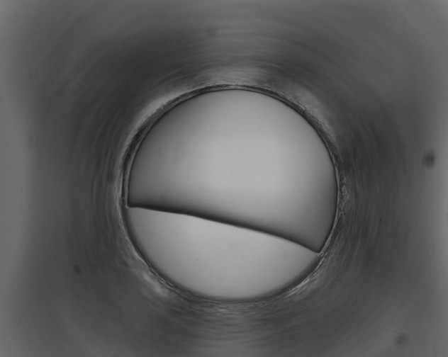 X0000097811035200803140754