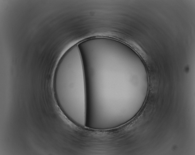 X0000097811036200803140754