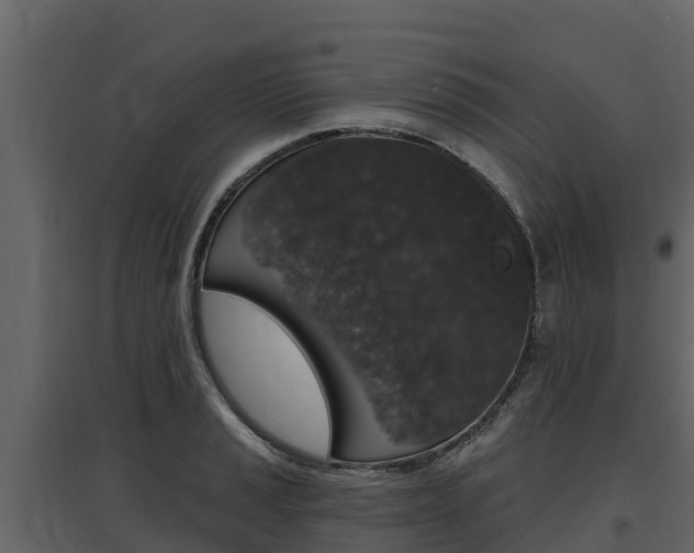 X0000097811037200803140754