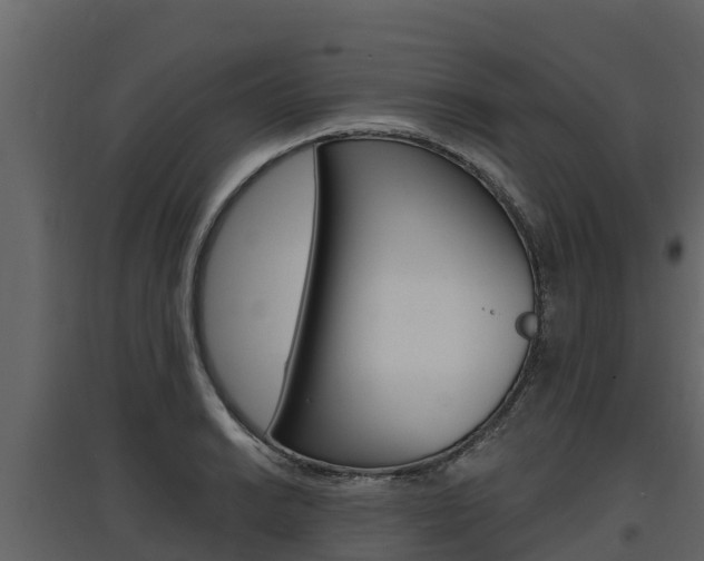X0000097811038200803140754