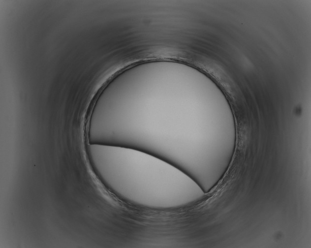 X0000097811039200803140754