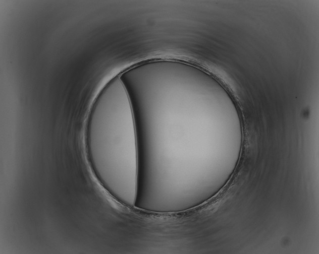 X0000097811040200803140754