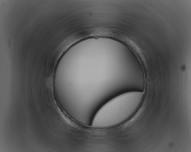 X0000097811041200803140754
