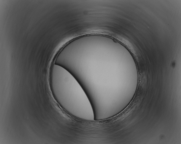 X0000097811043200803140754