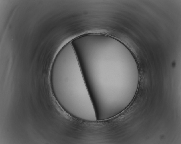 X0000097811044200803140754