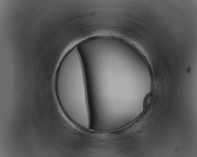 X0000097811045200803140754
