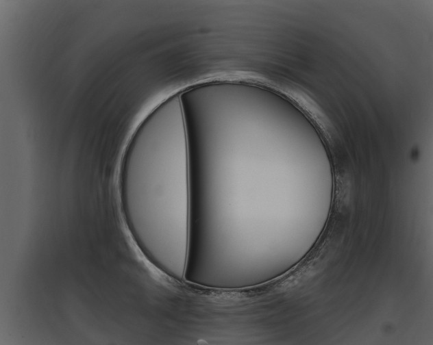 X0000097811046200803140754