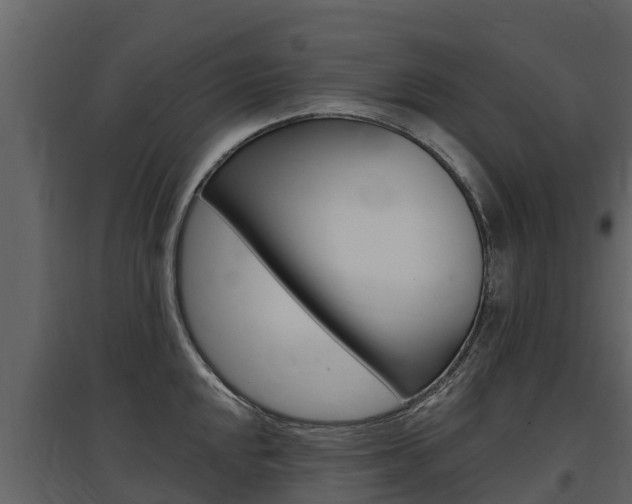 X0000097811048200803140754