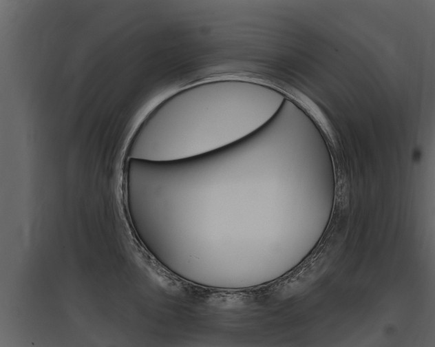 X0000097811051200803140754