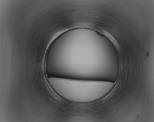 X0000097811052200803140754