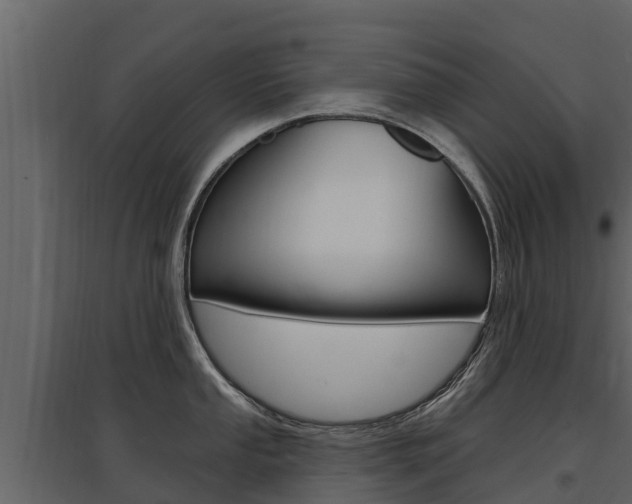 X0000097811053200803140754