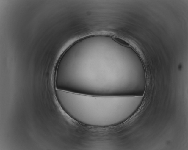 X0000097811054200803140754