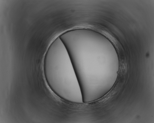 X0000097811055200803140754